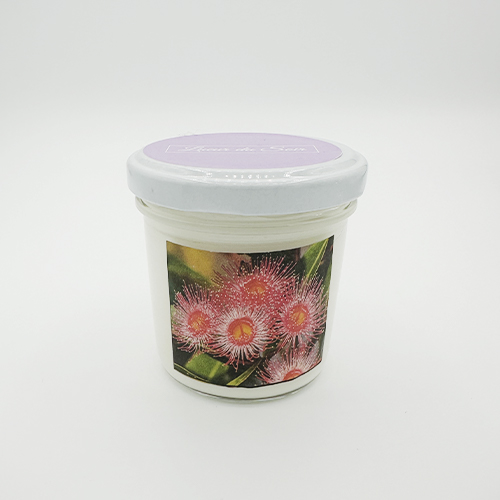 Les bougies classiques - Eucalyptus