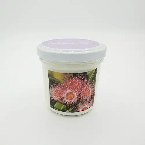 Bougie classique eucalyptus